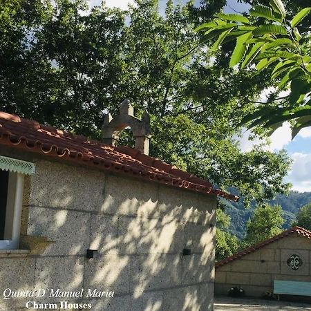 Amarante-Quinta D'Manuel Maria, Rural Charm Houses Bagian luar foto