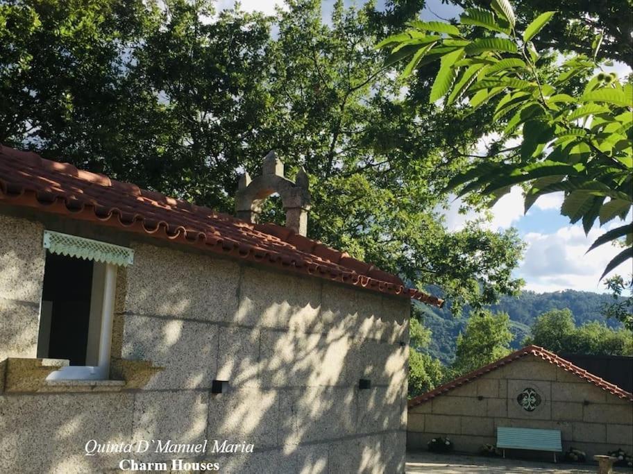 Amarante-Quinta D'Manuel Maria, Rural Charm Houses Bagian luar foto